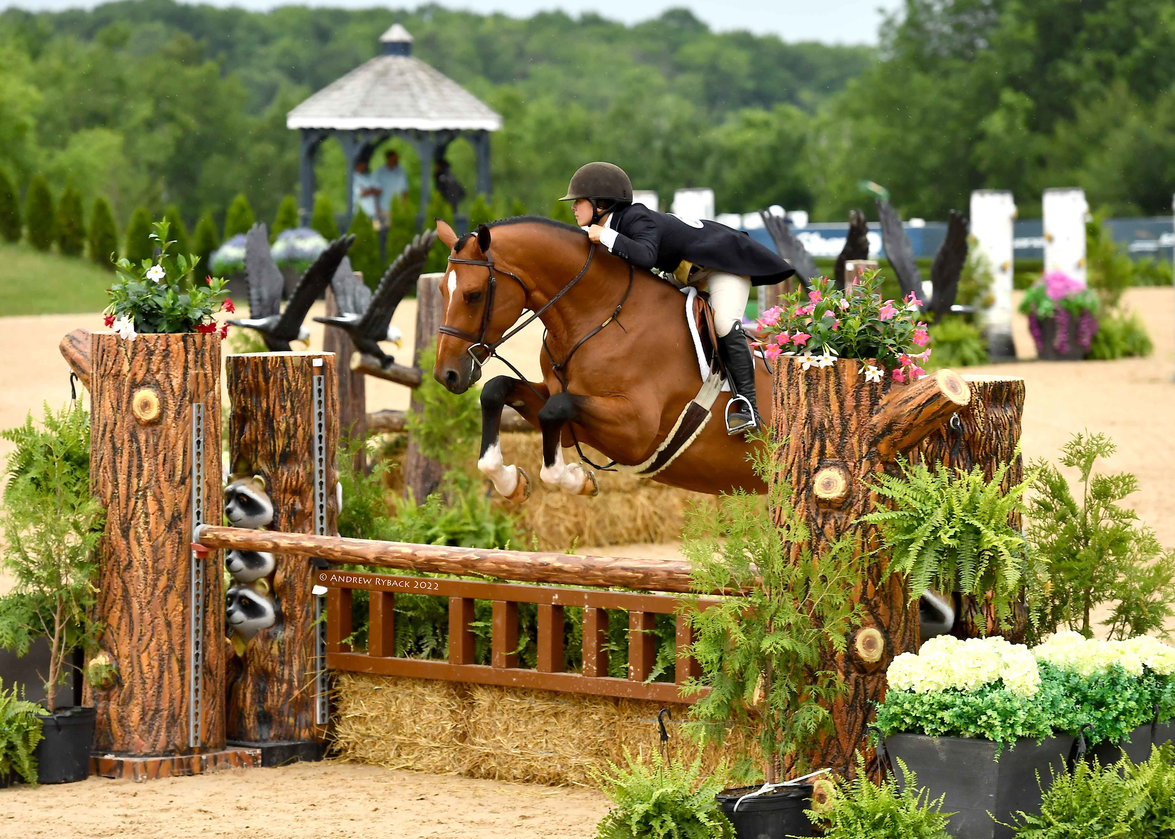 Augusta Iwasaki and Attendu De Lannois Z Claim $100,000 WCHR